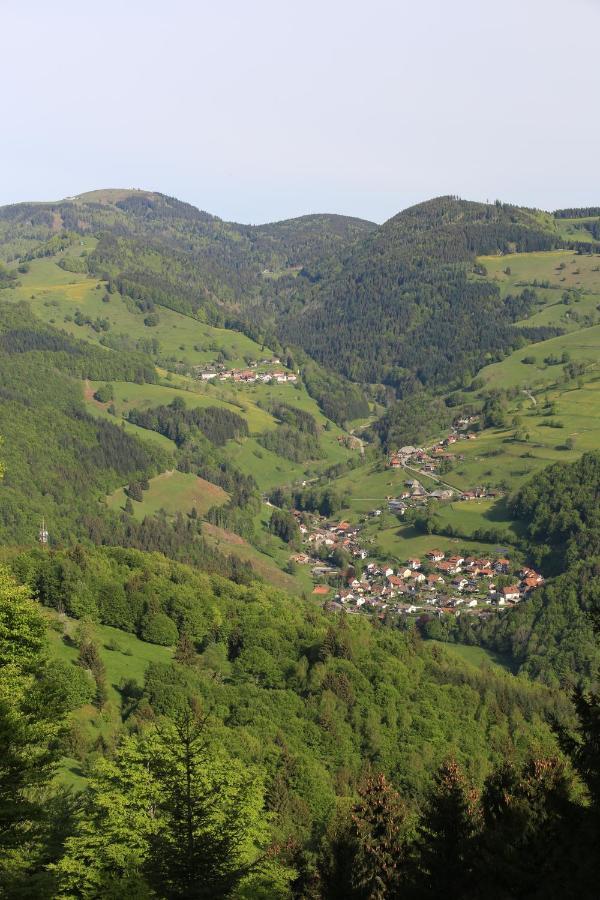 Hotel Kirchbuehl Im Schwarzwald Hotel Schönau im Schwarzwald Exterior foto